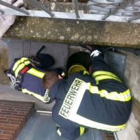 Tierrettung 12.07.2015 Tierrettung 12.07.2015